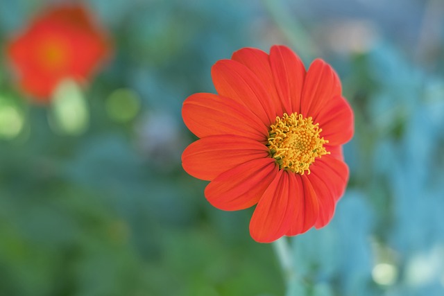 国乒男双首秀 战胜法国队豪取六连胜