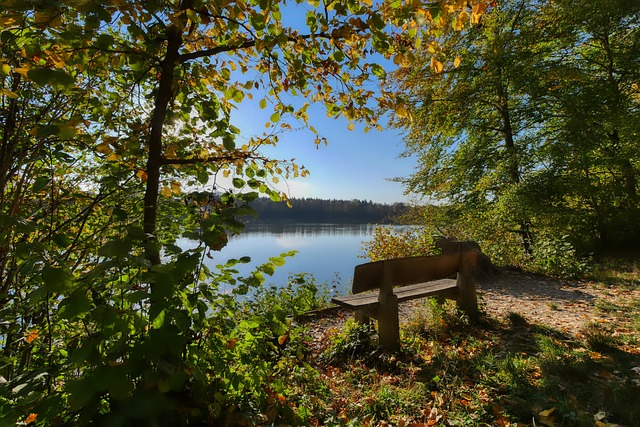 奇才官宣：库利巴利遭遇右腹斜肌拉伤，将采取保守治疗方案