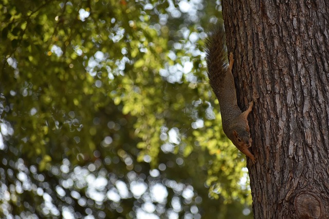 弗兰克：香港行可以用完美来形容；萨尔的努力让我印象深刻